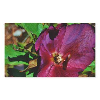 Burgundy Pink Lenten Rose Rectangular Sticker
