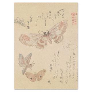 Butterflies and Moths by Kubo Shunman Tissue Paper