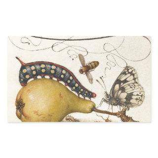 Butterfly Bee Fruit Insect Illustration Rectangular Sticker