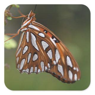 Butterfly Gulf Fritillary Passion Orange Spotted Square Sticker