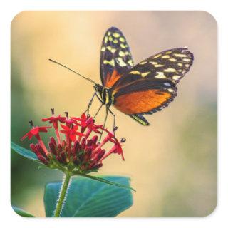 Butterfly on Red Flower Petals Square Sticker