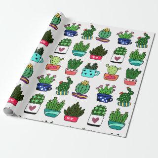 Cactus plants in colorful pot