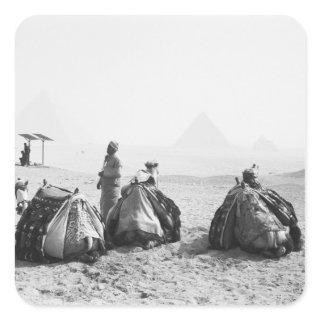 Cairo Egypt, Camel Jockeys Giza Pyramids (NR) Square Sticker