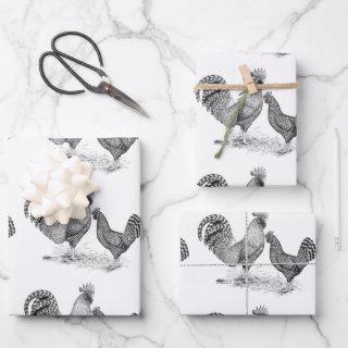 California Gray Rooster and Hen  Sheets