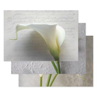 Calla lilies  Set of 3