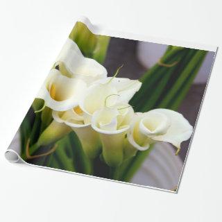 calla lily