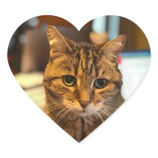 calliope Sticker