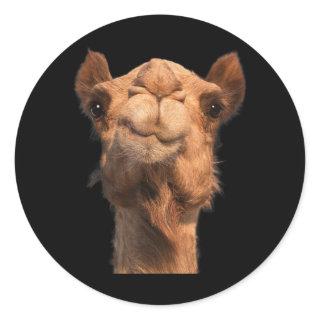 Camel Animal Face Classic Round Sticker