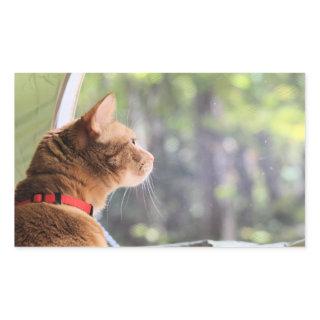 Camping cat rectangular sticker