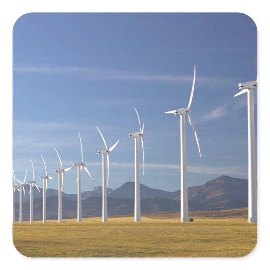 Canada, Alberta, Crowsnest Pass Area: Cowley Square Sticker