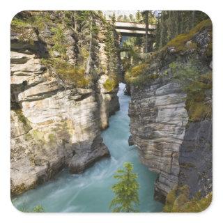 Canada, Alberta, Jasper National Park, Athabasca 2 Square Sticker