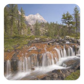 Canada, British Columbia, Yoho National Park. 2 Square Sticker