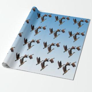 Canadian geese flying together kids design