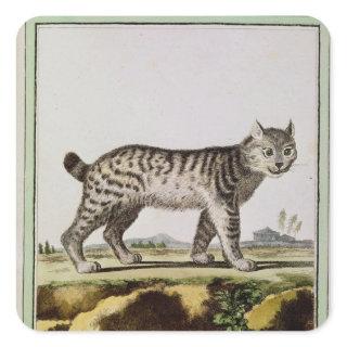Canadian Lynx Square Sticker