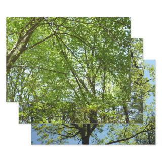 Canopy of Spring Leaves Green Nature Scene  Sheets