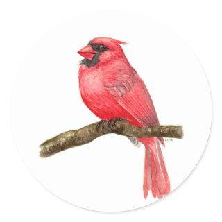 Cardinal bird watercolor classic round sticker