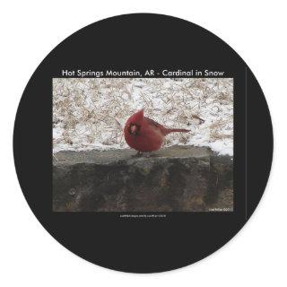Cardinal Hot Springs Nat. Park Mt AR Gifts Apparel Classic Round Sticker