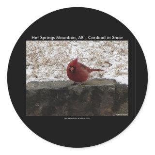 Cardinal Hot Springs Nat. Park Mt AR Gifts Apparel Classic Round Sticker