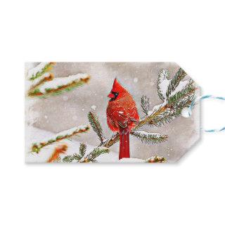 Cardinal in a pine tree in winter gift tags
