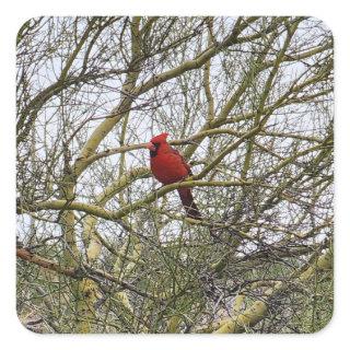 Cardinal Stickers