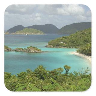 Caribbean, U.S. Virgin Islands, St. John, Trunk Square Sticker