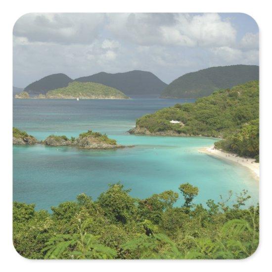 Caribbean, U.S. Virgin Islands, St. John, Trunk Square Sticker