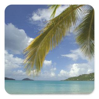 Caribbean, U.S. Virgin Islands, St.Thomas, Square Sticker