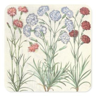 Carnations: 1.Caryophyllus multiplex flore albo; 2 Square Sticker