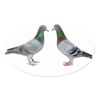 Carrier pigeons champions oval sticker