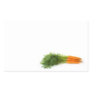 Carrots Rectangular Sticker