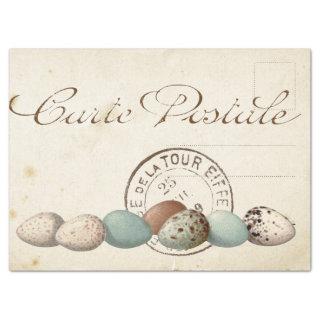 Carte Postale Bird Set 1 of 4 (Postmark Eggs) Tissue Paper