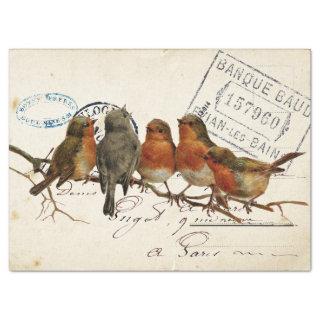 Carte Postale Bird Set 3 of 4 European Robins Text Tissue Paper