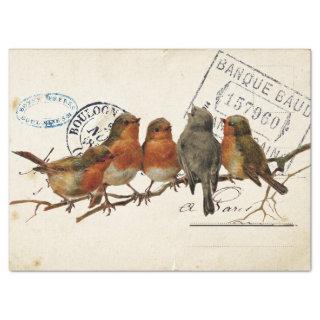 Carte Postale Bird Set 3 of 4 (European Robins) Tissue Paper