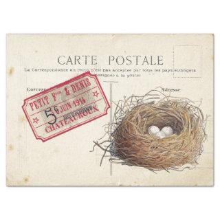 Carte Postale Bird Set 4 of 4 (Bird's Nest Ticket) Tissue Paper
