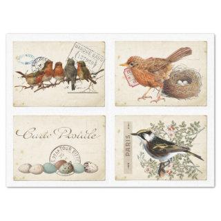 Carte Postale French Bird Nest and Eggs Set Tissue Paper