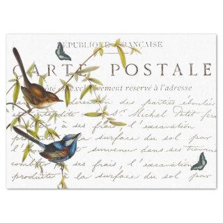 Carte Postale French Script Bird Butterfly Vintage Tissue Paper