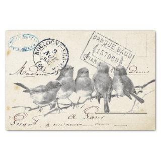 Carte Postale French Songbirds on a Branch Tissue Paper