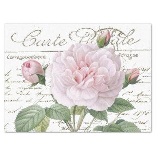 Carte Postale Pink Redouté Rose Gold French Script Tissue Paper