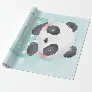 Cartoon Panda | Cute Panda Is In Pocket