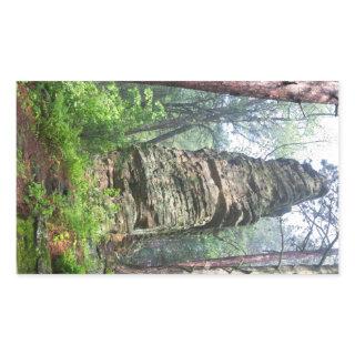 Castellated Mound in State Forest Rectangular Sticker