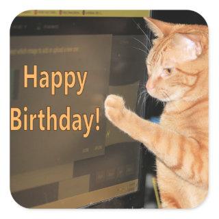 cat·a·stroph·ic birthdays not allowed square sticker