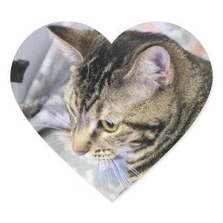 Cat   heart sticker