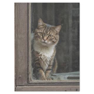 Cat in Window Decoupage Tissue Paper