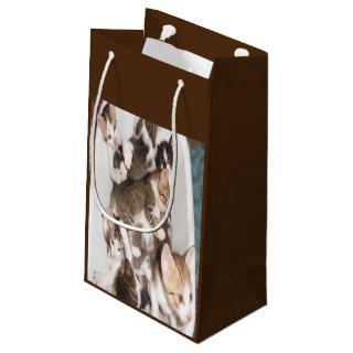 Cat lovers gift small gift bag