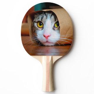 Cat wrapped in a brown paper ping pong paddle