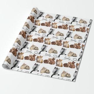 cats package, Funny cats package