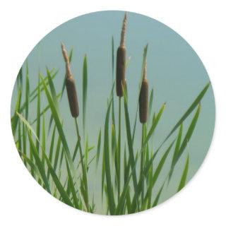 Cattails Classic Round Sticker