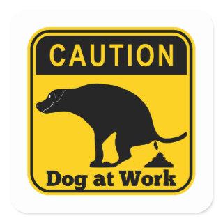 Caution pooping Dog at Work Square Sticker