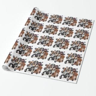 Cavalier Spaniel
