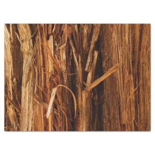 Cedar Textured Wooden Bark Look Tissue Paper